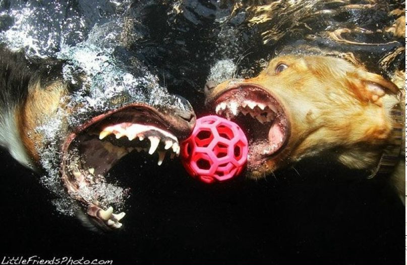 Юлия Потёмкина | Санкт-Петербург