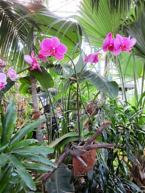 Анастасия Цветкова | Москва