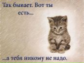 Фотография Алексей Морозов