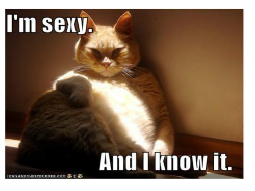 Игорь Калута | Васильков