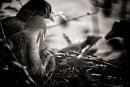 Фотография Лермонтовой Сабрины