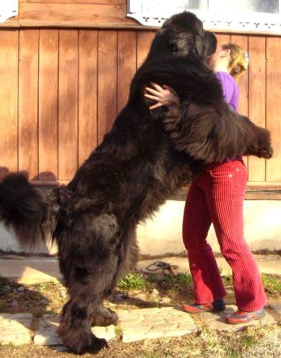 Вера Ескина | Севастополь