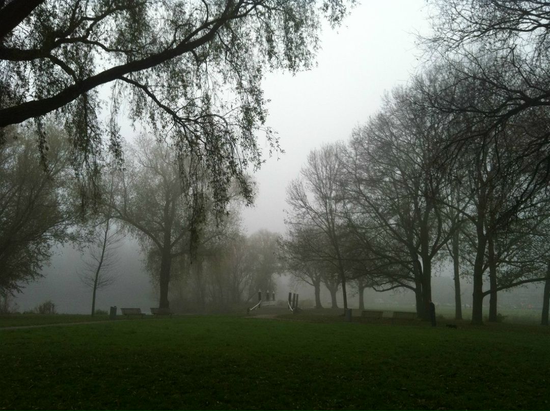 Ксения Виват | Москва