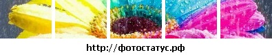 №31, Анастасия Белая, Херсон №31, Анастасия Белая, Херсон