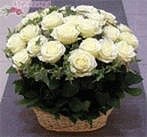 Анютка Константинова Малышка | Павлоград