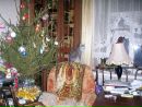 Фотография Елена Васильева