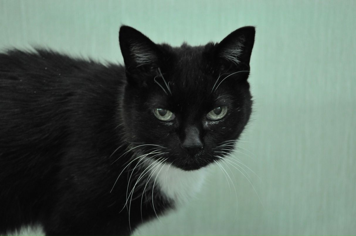 Наталия Самофалова | Москва