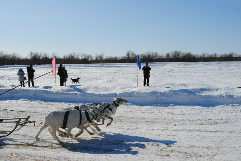 Сергей Скоросуев | Чебоксары