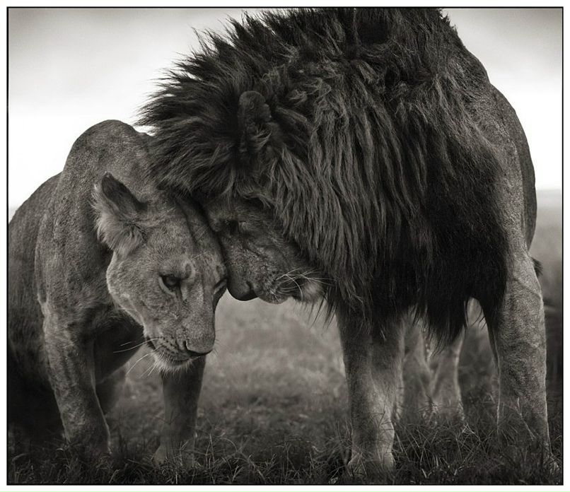 Павел Баразна lιllιlι ♪♫ Music =P | Киев