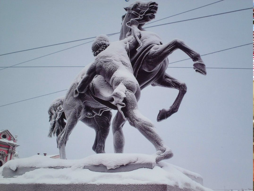 Алексей Цветков | Санкт-Петербург