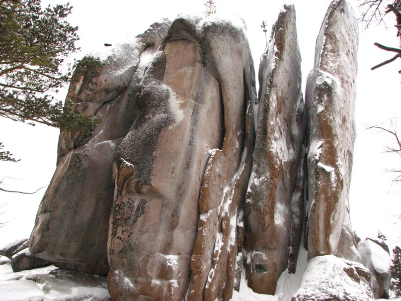 Наталья Горбунова | Красноярск