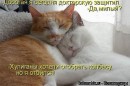 №1 Светлана Вульф 08.10: профиль, фото, статус - ВКонтакте №1 Светлана Вульф 08.10: профиль, фото, статус - ВКонтакте
