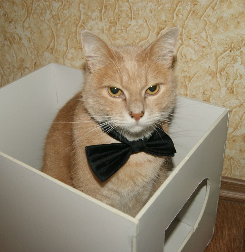 Михаил Папета ☭Alien P Didymos☭ | Санкт-Петербург