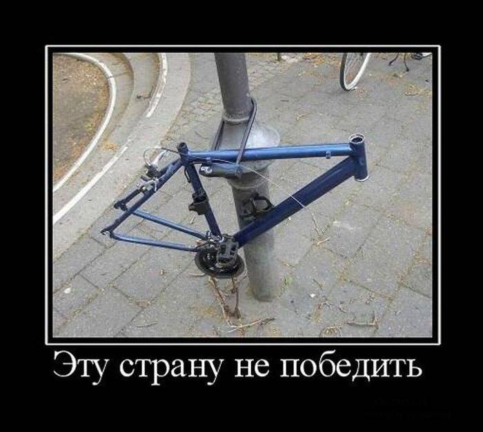 Павел Орлов | Санкт-Петербург