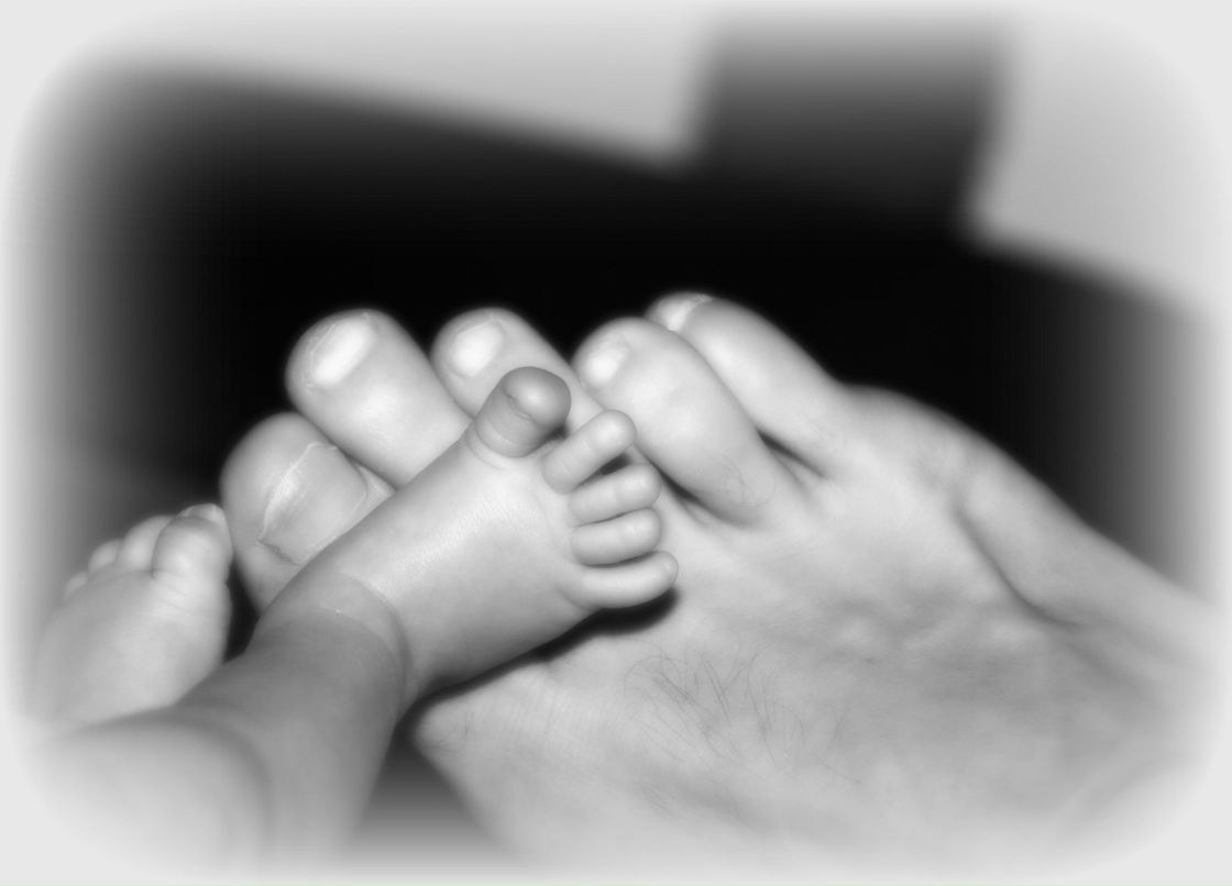 Анатолий Зимин | Москва