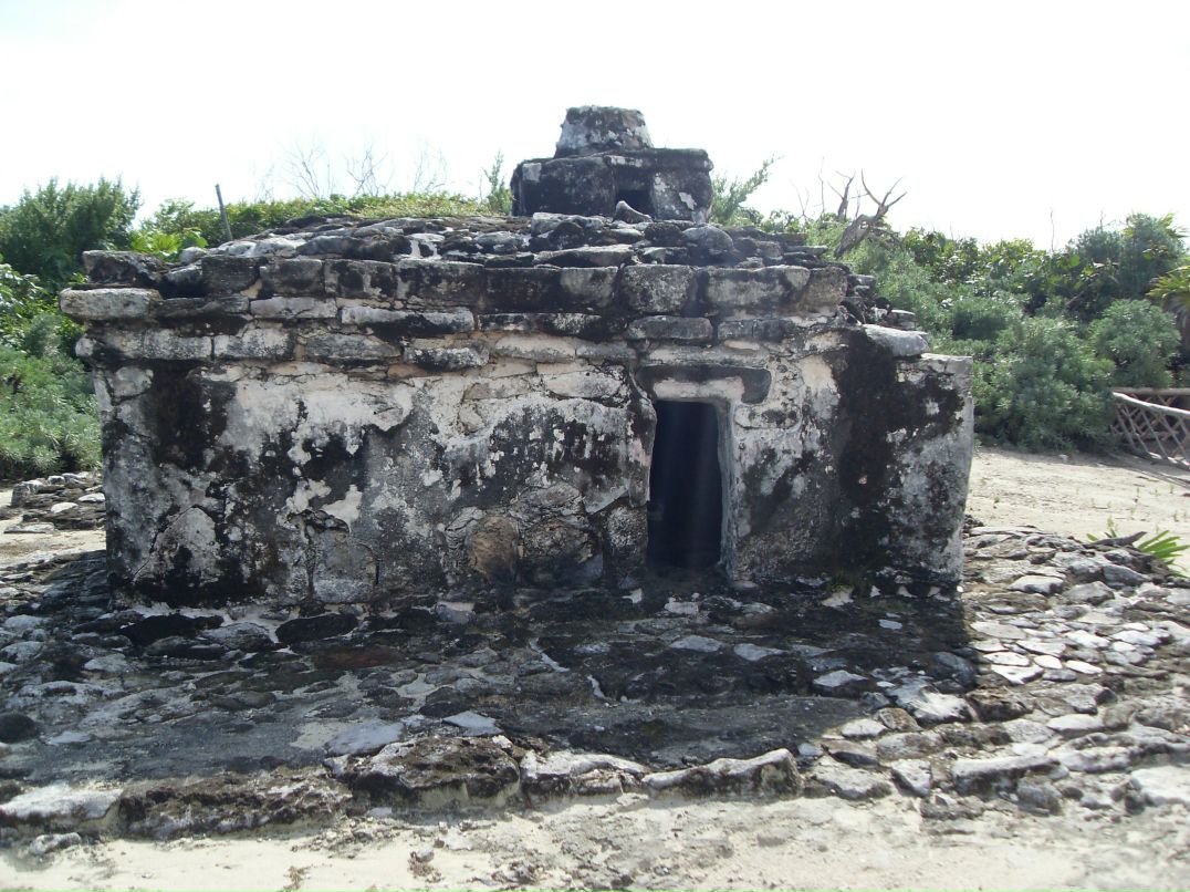 Юлия Шибаева | Санкт-Петербург