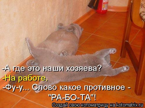 №12, Надежда Сонина, Москва №12, Надежда Сонина, Москва