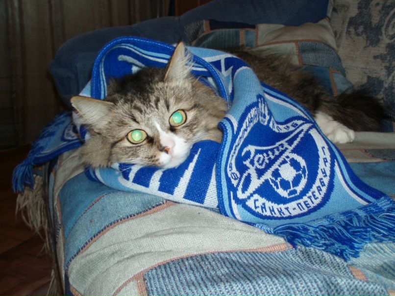 Александр Кузнецов | Санкт-Петербург