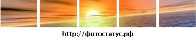 Фотография Елена Пичугина