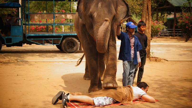 Татьяна Потапкина | 