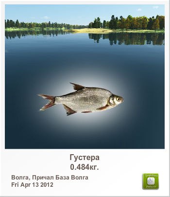 Валера Петрушенко | Киев