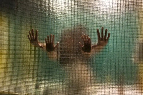 Фаина Миронова | Санкт-Петербург