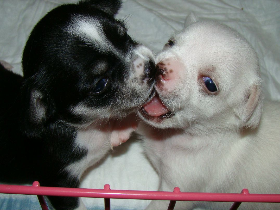 Ирина Фадеева | Санкт-Петербург