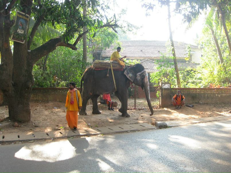 Артем Кирин | Красноярск