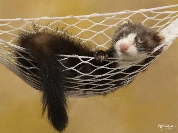 Лёня Косьмина I xapek I | Харьков