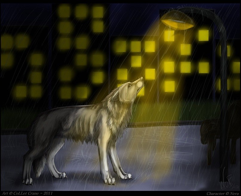 Валера Боровской | Москва