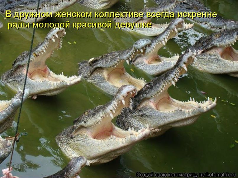 №107, Алёна Симонова №107, Алёна Симонова