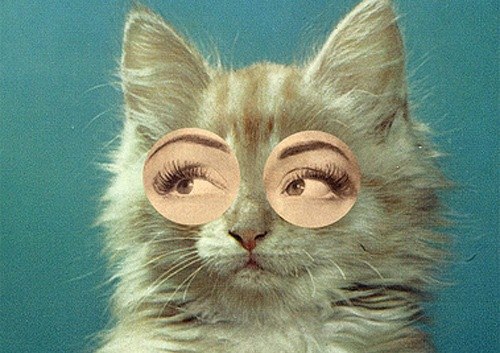 Ольга Гаврилова | Псков