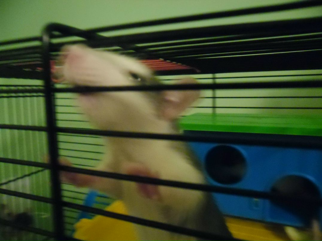 Марина Снигирева | Коммунар (поселок)