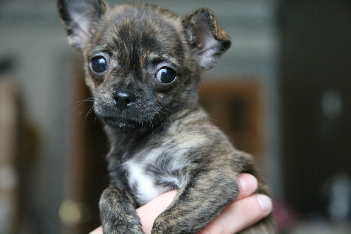 Ирина Федосеева | Москва