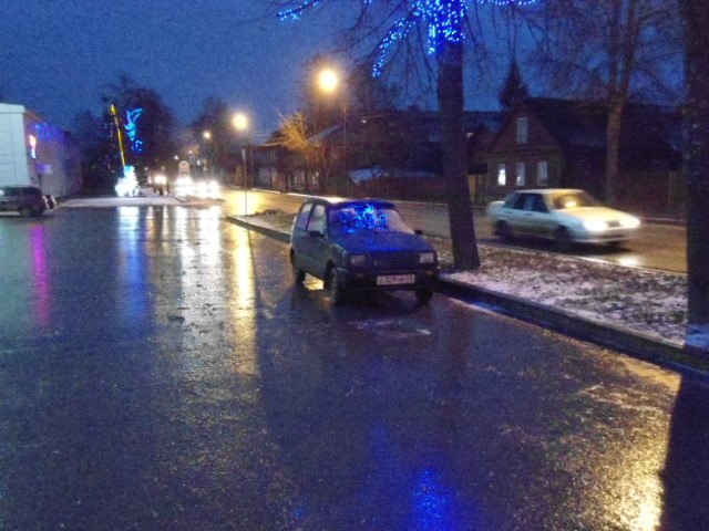 Наталья Евдокимова | Хвойная