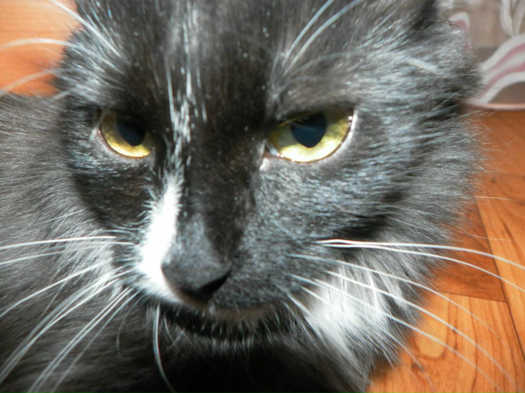 Владимир Селедцов | Пермь