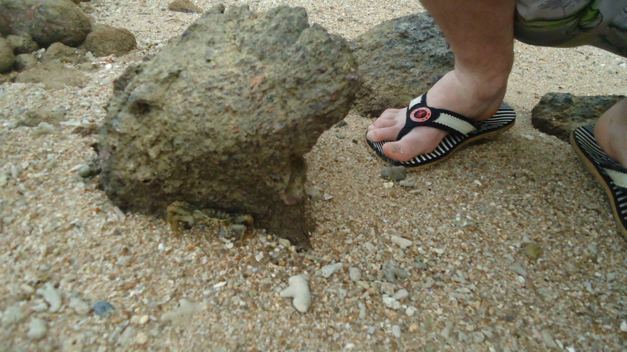 Анютка Калинова | Санкт-Петербург