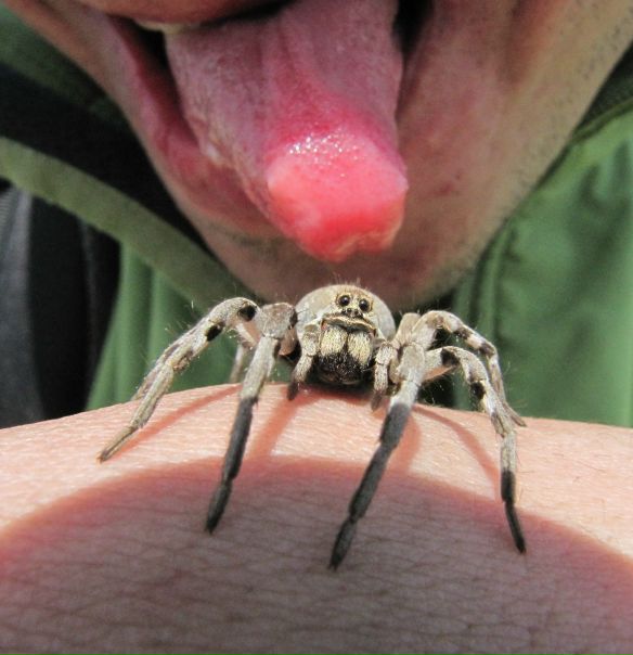 №58, Иван Файчук, Симферополь №58, Иван Файчук, Симферополь