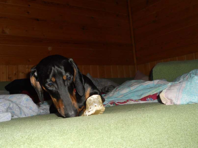 Софья Романовская | Санкт-Петербург