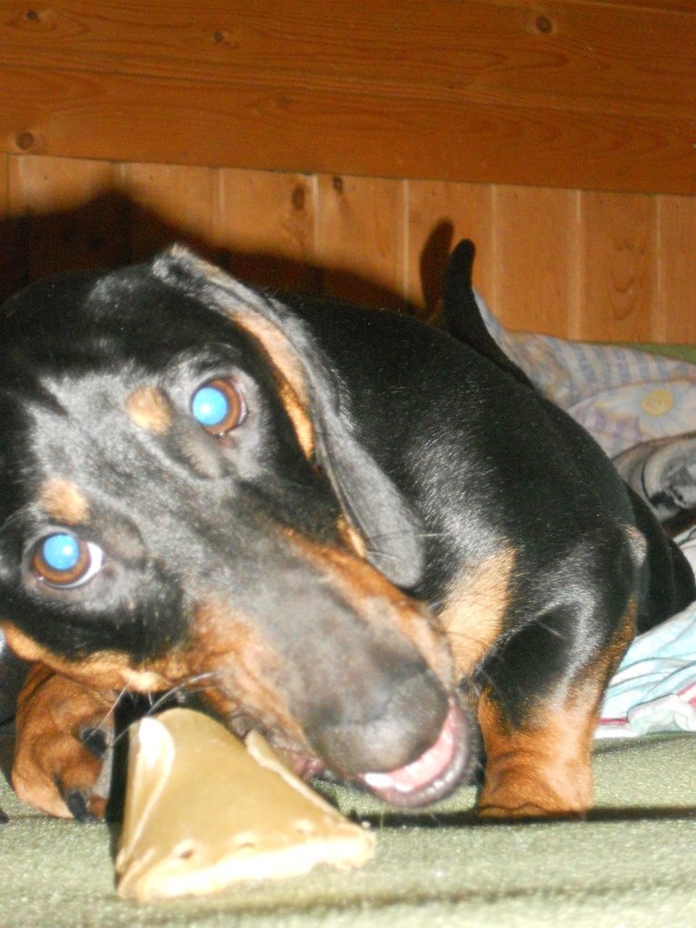 Софья Романовская | Санкт-Петербург