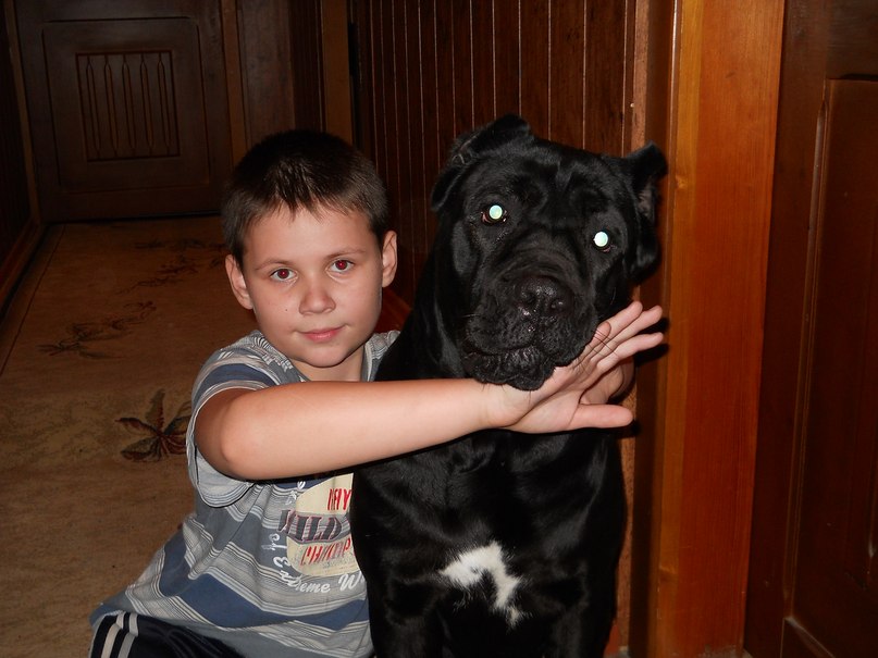 Александр Скиба ▬▬★⎛ БЕЛЫЙ ⎞★▬▬ | Харьков