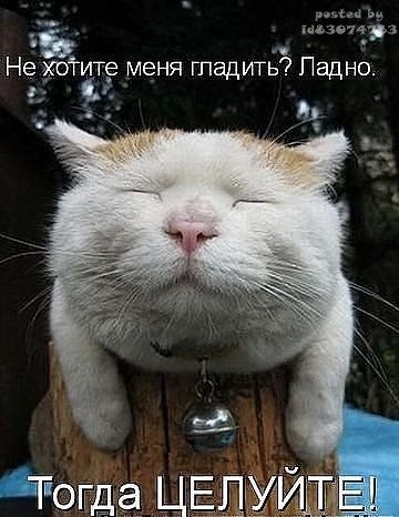 Анна Олейник-Жадан | Киев