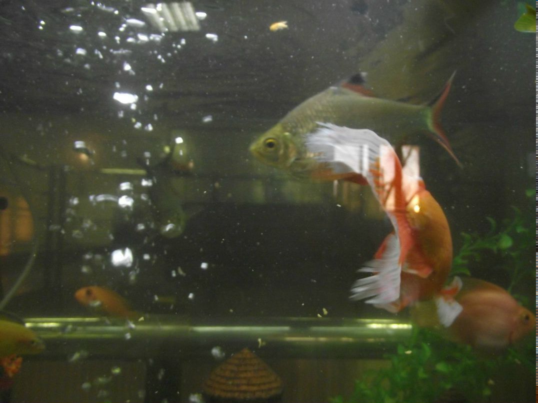 Павел Г | Омск