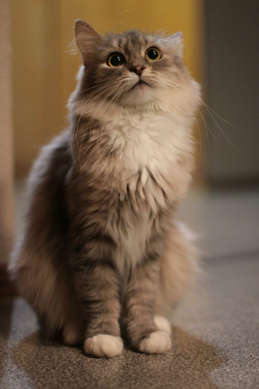 Марина Галанина | Рыбинск