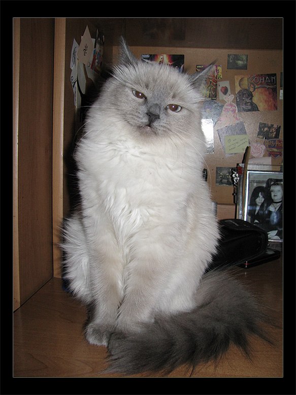 Елизавета Зайцева | 