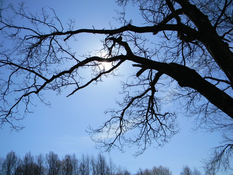 Мария Ботвиньева АнгинКа | Великий Новгород