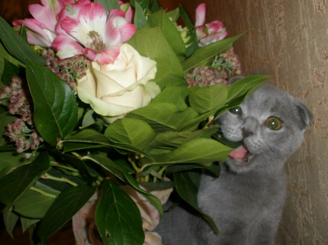 Светлана Острова | Москва