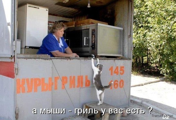 Никита Колчин | 