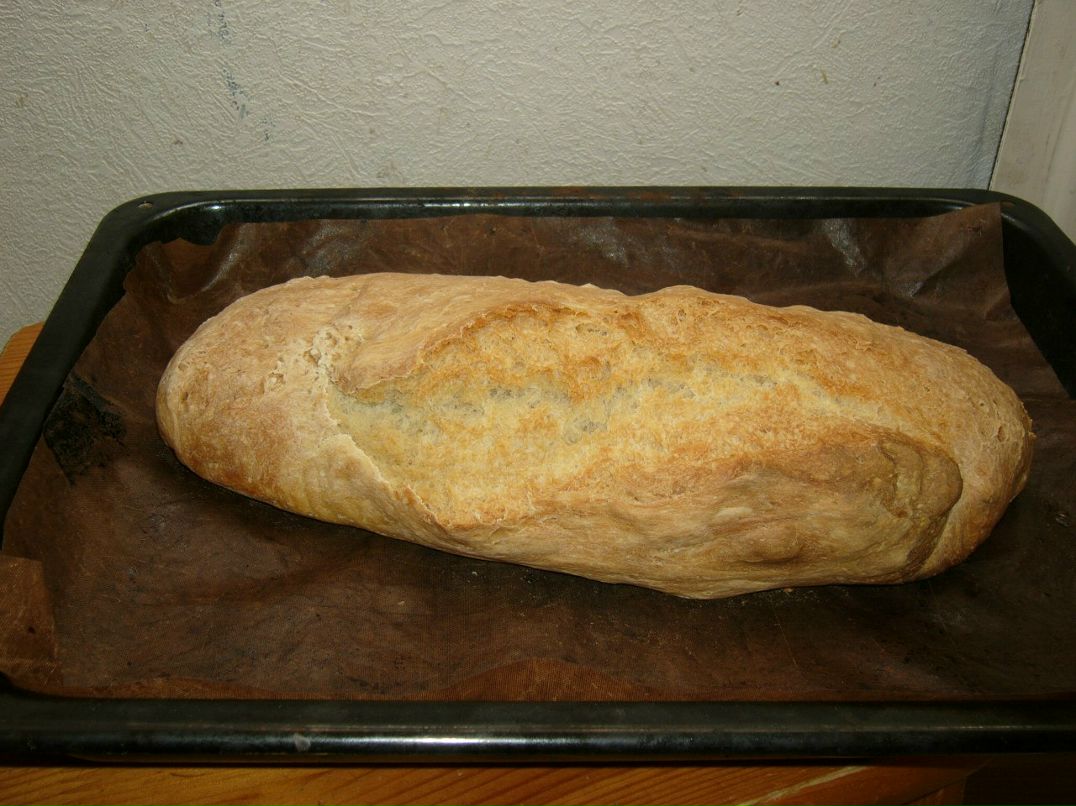 Екатерина Панова | Санкт-Петербург