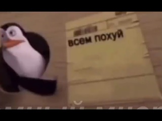 Ковальский указывает на надпись“всем п0хуй“ шаблон для мемов (пингвины Мадагаскара) оригинал